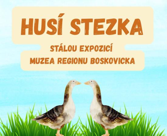 Husí stezka